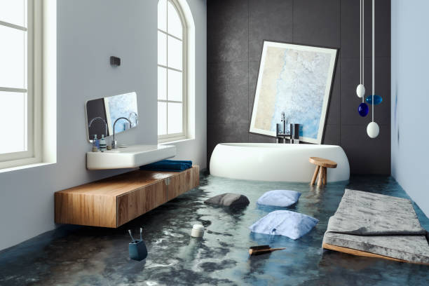Carpet water damage restoration in Hermann, MO