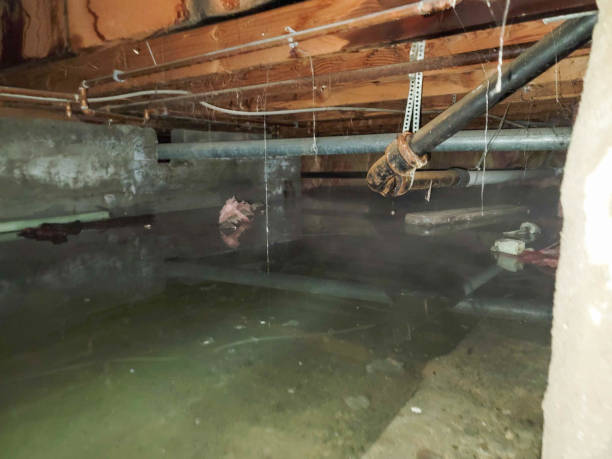 Professional Water damage restoration in Hermann, MO