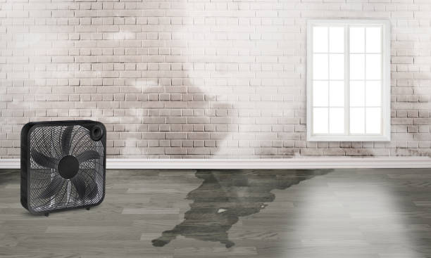 Best Water damage restoration near me  in Hermann, MO
