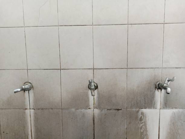 Best Flood restoration services  in Hermann, MO