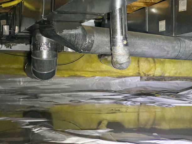 Best Basement water damage restoration  in Hermann, MO