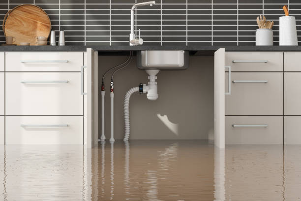 Best Water damage restoration process  in Hermann, MO