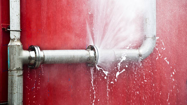 Best Water damage restoration cost  in Hermann, MO