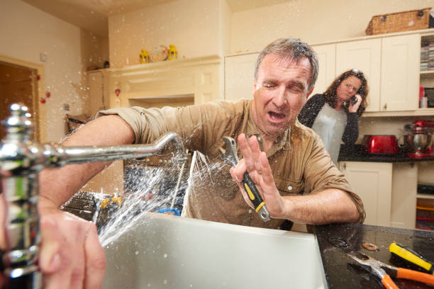 Best Basement water damage restoration  in Hermann, MO